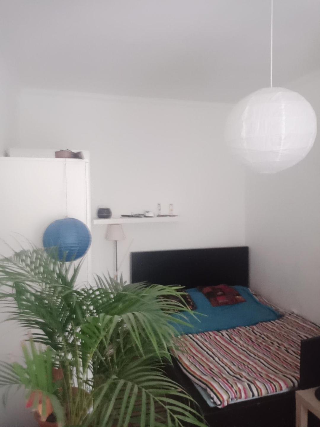 Doxie Rooms And Beds 布达佩斯 外观 照片